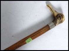 An amusing gentlemans walking cane / stick having a horn  handle in the form of a Cormorant,
