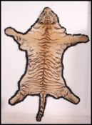 A full sized early 20th Century Indian tiger skin rug mounted on canvas,