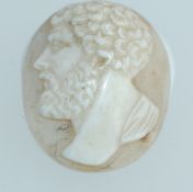 An early 20th century carved shell cameo plaque probably for a brooch or pendant. Measures 2.75cms..