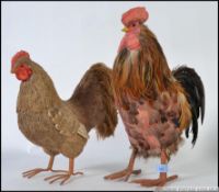 Two disused shop advertising chickens,