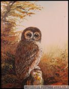 A framed oil on canvas of an Tawny oil perched on a tree stump in a naturalistic setting,