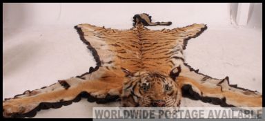 A fabulous early 20th century Tiger (Panthera tigris), circa 1900, skin rug with head mount.