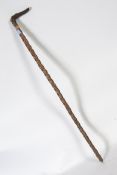 A hawthorn shafted walking cane with a gold metal collar,