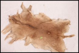 A retro 1970's taxidermy deer floor rug