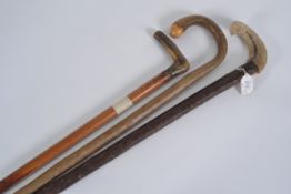 A collection of 3 walking sticks to include 2 with horn handles ( see illustrations )