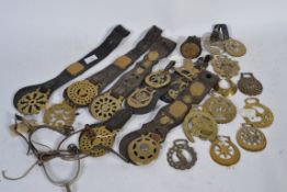 A good group of 19th Century and other horse brasses mostly leather mounted