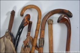 A collection of walking canes and paraso