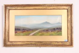 A 19th century framed and glazed waterco