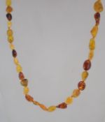 A vintage graduated amber pebble necklace having various colours of amber being hand knotted with