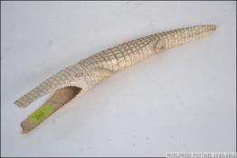 An early 20th century carved Ivory tusk in the form of a crocodile having scaled body with hollow