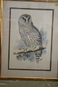 A pair of Owl prints ( E.
