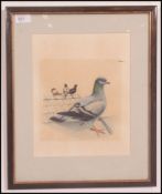 A framed and glazed watercolour painting of pigeons roosting on a rooftop signed to the corner Sean