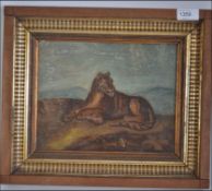 An early 20th century anglo colonial oil on board painting of a Bengal tiger A 20th century anglo