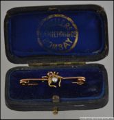 A Victorian 9ct gold ruby and baroque pearl bug - fly brooch pin.