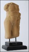 A 20th century sandstone sculpture study of a male torso in the classical style having ebonised