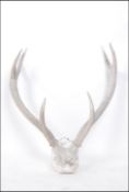 A Vintage mid century large wall mounted Red Stag Antlers of weathered bleached form being mounted