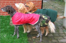 A voucher for One Towelling Drying Coat from Dorset Dogs Togs.