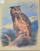 AFTER ARCHIBALD THORBUM print