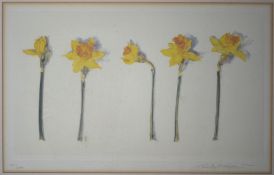 Watercolour of daffodils