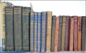 A collection of vintage books to include Familiar Wild Flowers, Robert Louis Stevenson by several,
