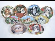 A collection of plates by SIMON MENDEZ featuring dogs of the SHIHTZU breed in many differing