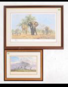 2 framed and glazed limited edition David Shepherd prints ' After The Rain ' 272 / 850 signed by