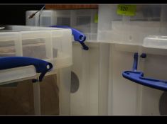 A large collection of vintage 78rpm records various genres,