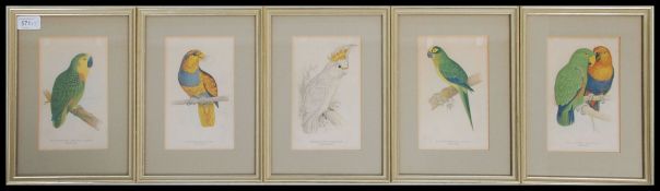 A collection of five framed and glazed lithographs of tropical birds to include parrots,
