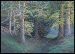 Alaistair Wain 1933. A pastel painting of a woodland path surrounded by trees.