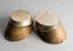Hoof of 
