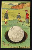 Scarce Springvale bramble golf ball advertising coloured postcard c.1900 - titled 