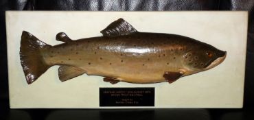 CAST FISH: Cast Trout mounted on wooden backboard 30