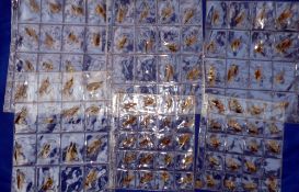 SALMON FLIES: (Qty) Collection of 94 early gut eyed salmon flies to black hooks, assorted patterns