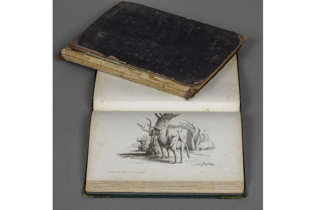 Samuel Howitt (1756-1822) British, The British Sportsman Containing seventy plates, new edition,