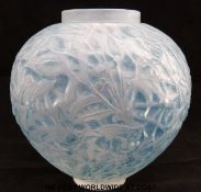 Lalique Gui opalescent glass vase with blue staining of footed ovoid form with shallow coloured