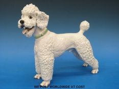 A large Rosenthal poodle with impressed mark for Theodore Karner (height 21cm)