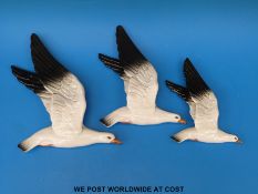 Three Beswick graduated seagull wall plaques
