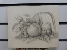 Elizabeth Wallace (member of the Barker of Bath family): Five watercolours on paper and one pencil