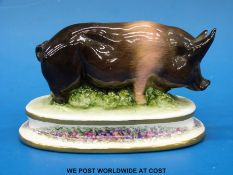 A Michael Sutty figure of a pig on a base,