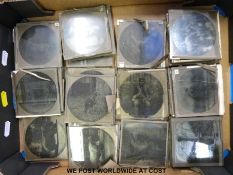 A collection of Magic Lantern slides of zoo animals scenes showing animals in cages including lions,