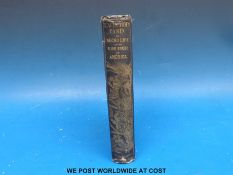 Harriet Beecher Stowe, 'Uncle Tom's Cabin' (London, C.