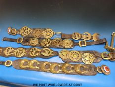 A collection of Victorian and later horse brasses and a small Hall pattern anchor etc