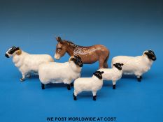 A small flock of Beswick sheep - a ram,