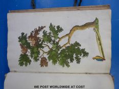 A vellum-bound scrapbook containing a very large collection of Georgian / Victorian cut-out scraps