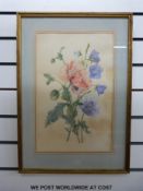 A collection of botanical watercolours by Nicola Hornby, all signed in pencil,