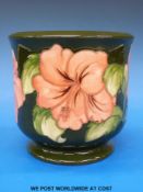 A large Moorcroft planter in Hibiscus pattern on a green ground (height 17cm)