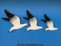 A set of three Beswick seagull graduated wall plaques