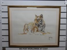 Spencer Hodge watercolour of a tiger (53 x 71cm)