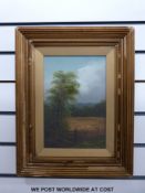 Oil on board cornfield and elm tree,