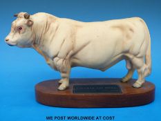 Beswick connoisseur Charolais bull on plinth